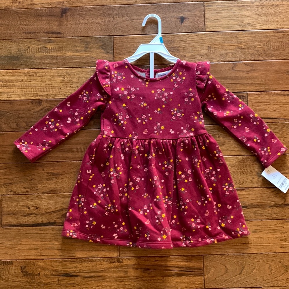 Carter’s Burgundy Dress + Bloomers